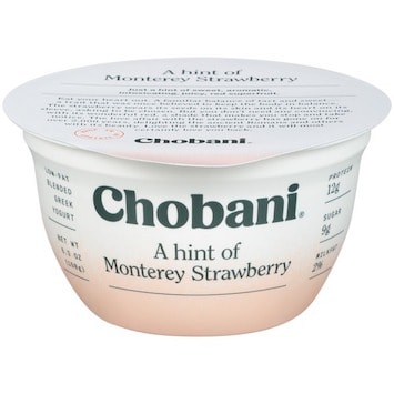 Save .50 off Chobani Hint of Flavor Yogurts with Printable Coupon