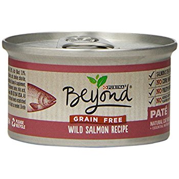 Save $1 off (5) Can Beyond Wet Cat Food with Printable Coupon