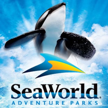 Save 40% off SeaWorld Orlando with Groupon Coupon – Limited Time