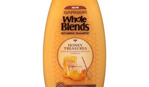 Save $1.00 off (1) Garnier Whole Blends Shampoo or Conditioner Coupon