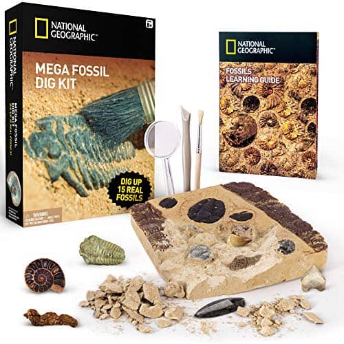 nat geo fossil dig kit
