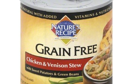 Save $1.00 off (5) Nature’s Recipe Wet Dog Food Printable Coupon