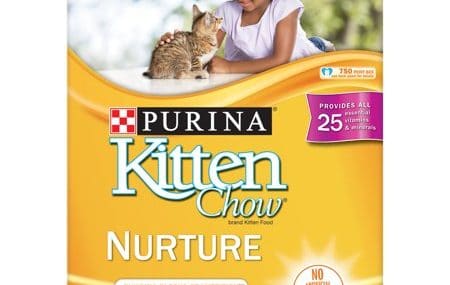 Save $1.25 off (1) Purina Kitten Chow Printable Coupon