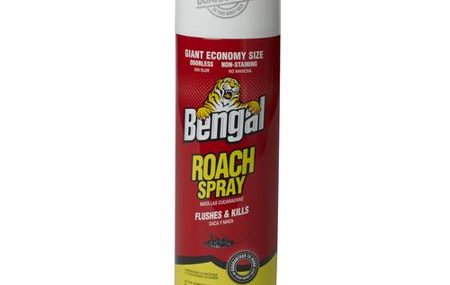 Save $3.00 off (1) Bengal Roach Spray Printable Coupon