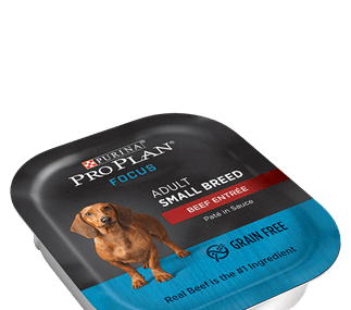 Save $2.00 off (10) Pro Plan Focus Small Breed Wet Dog Food Coupon