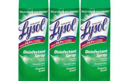 Save $3.00 off (1) Lysol Country Scent Disinfectant Spray Coupon