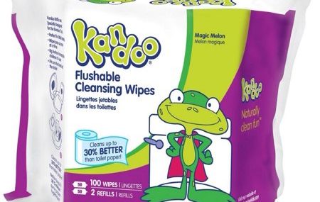 Save $1.00 off (1) Kandoo Sensitive Flushable Baby Wipes Coupon