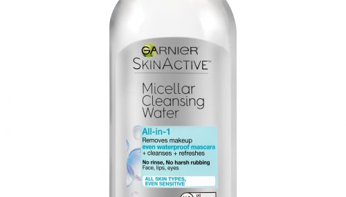 Save $1.00 off (1) Garnier SkinActive Cleanser Printable Coupon