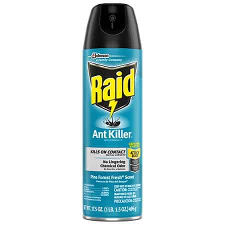 Save $0.50 off (1) Raid Ant Killer Printable Coupon