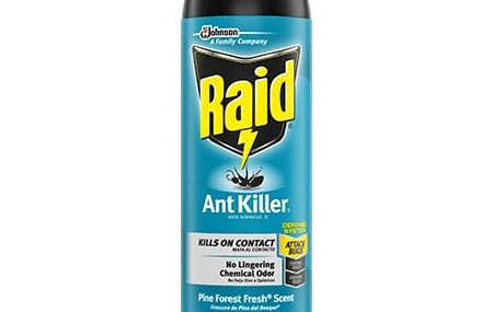 Save $0.55 off (1) Raid Ant Killer Printable Coupon