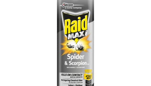 Save $0.55 off (1) Raid Max Spider & Scorpion Killer Coupon