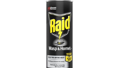 Save $0.55 off (1) Raid Wasp & Hornet Killer Printable Coupon
