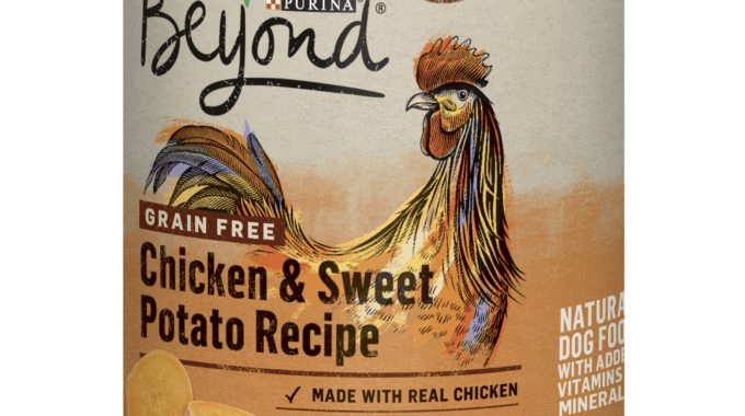 Save $2.00 off (5) Beyond Chicken & Sweet Potato Dog Food Coupon