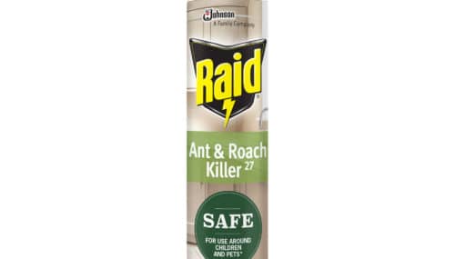 Save $1.00 off (1) Raid Spray with Essential Oils Printable Coupon