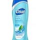 Dial