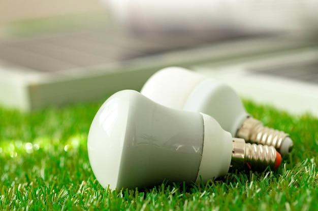 Use Energy-Saving Bulbs