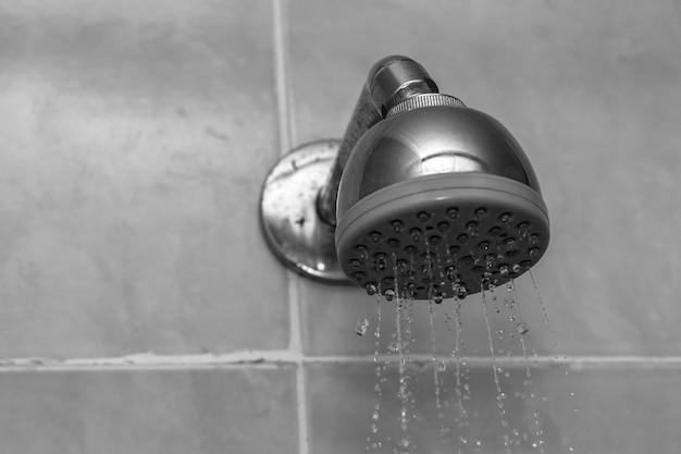Don't Waste Water While Waiting For the Shower to Heat Up