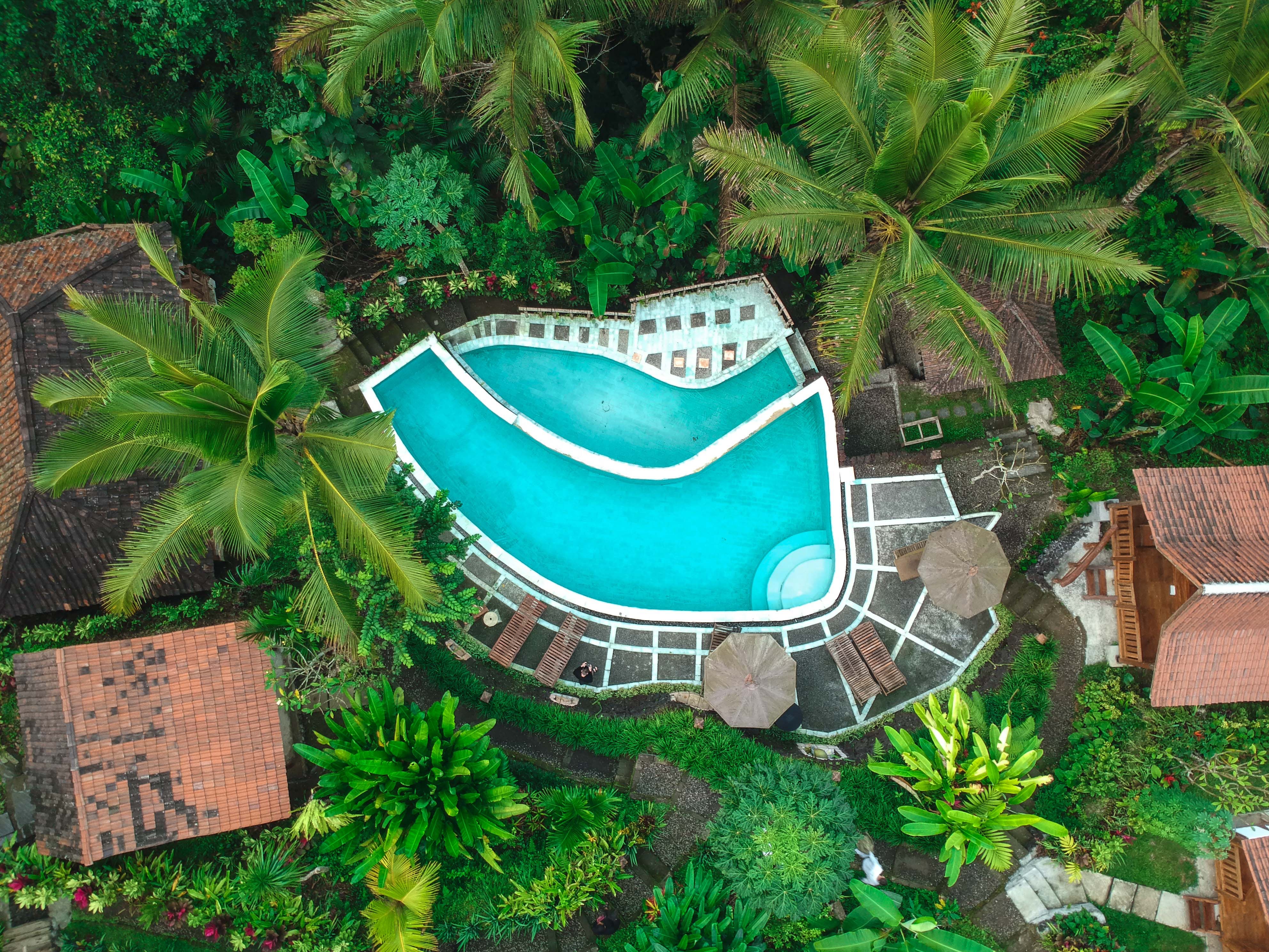 Jungle Pool Indonesia