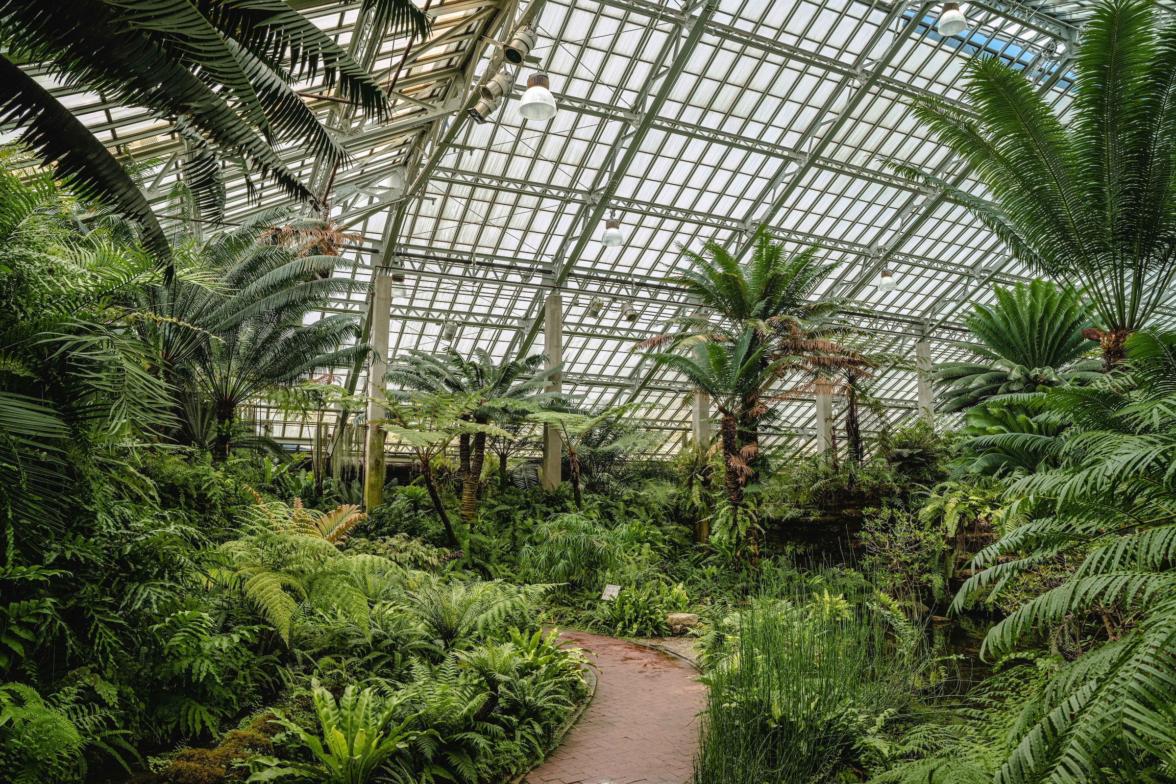 The Garfield Park Conservatory
