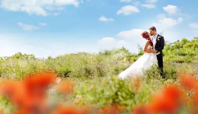 The Knot Wedding Planning