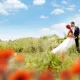 The Knot Wedding Planning