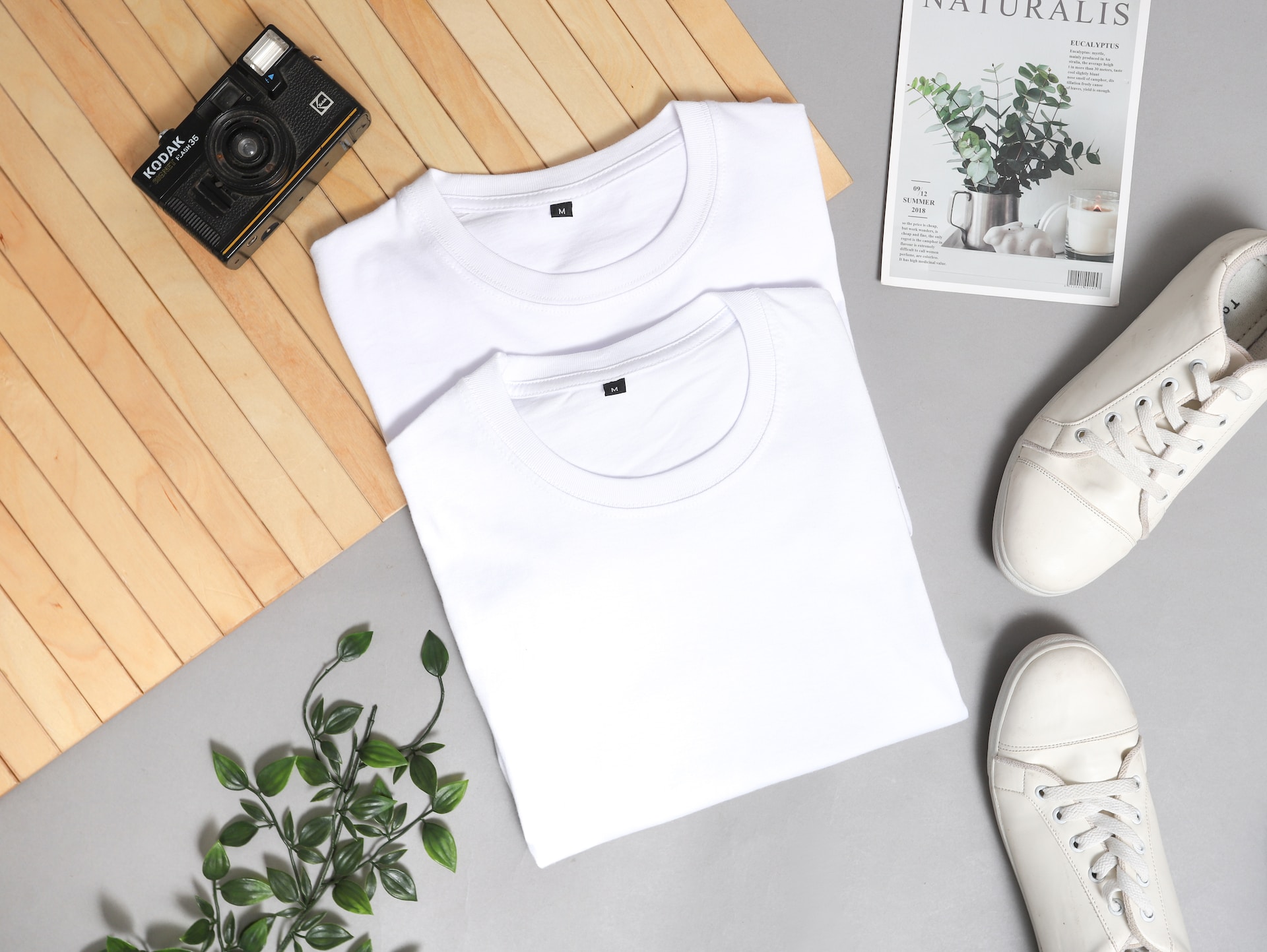 folded t-shirts, sneakers, plant,magazine and camera