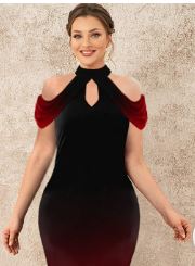 Flycurvy Flycurvy
