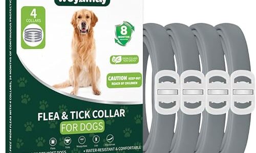 4 Pack Flea Collar for Dogs, Dog Flea and Tick Treatment, 8 Months Protection Flea and Tick Collar for Dogs, Waterproof Dog Flea Collar, Adjustable Collar Flea and Tick Prevention for Dogs, Grey, dog tick