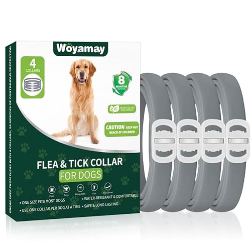 Save on a 4-Pack Dog Tick and Flea Collar with Amazon Coupon