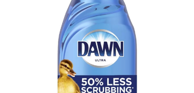 Dawn Ultra Dishwashing Liquid Dish Soap, Dawn EZ Squeeze Printable Coupon