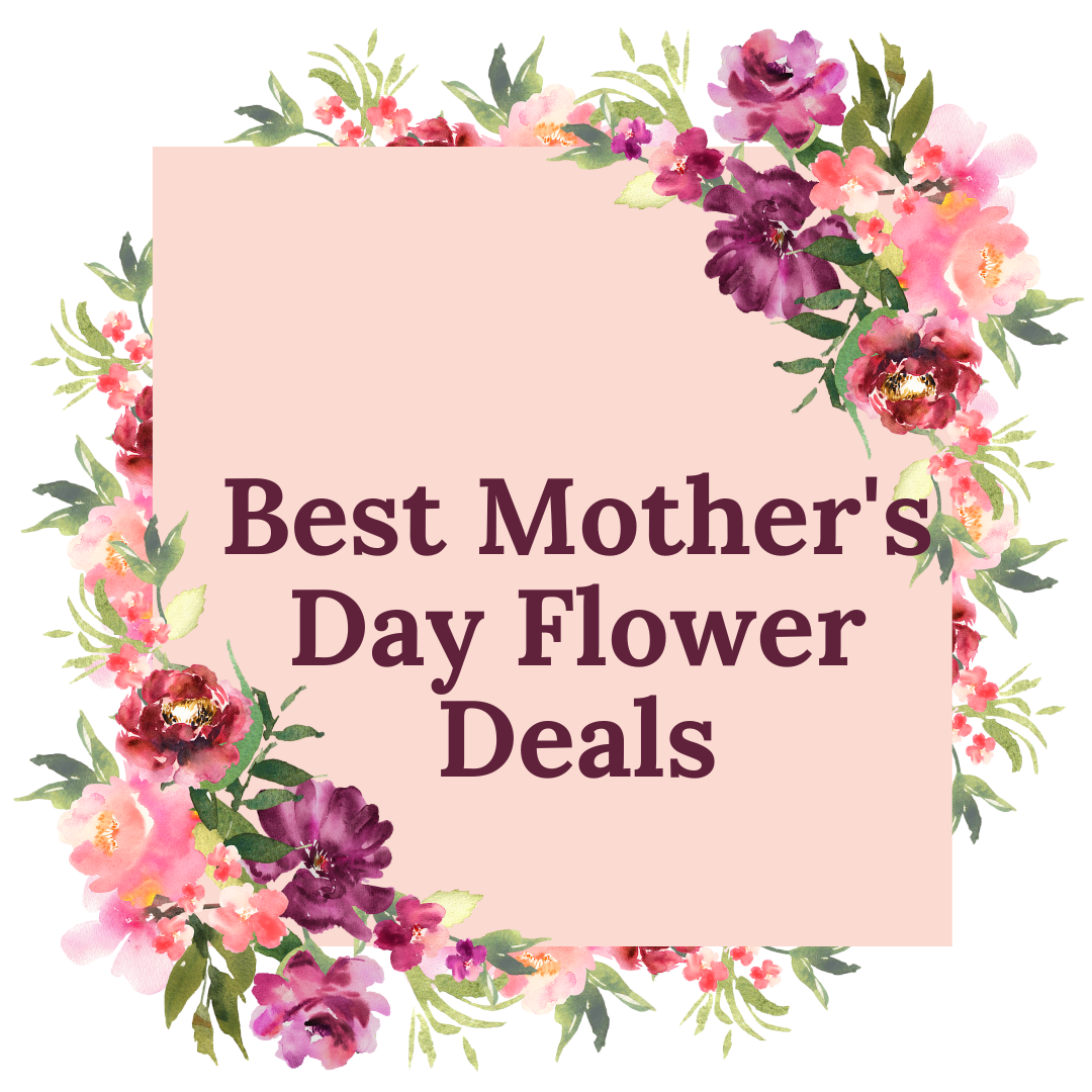 Discover the Best Mother’s Day Flower Deals From Aldi to Costco Keep